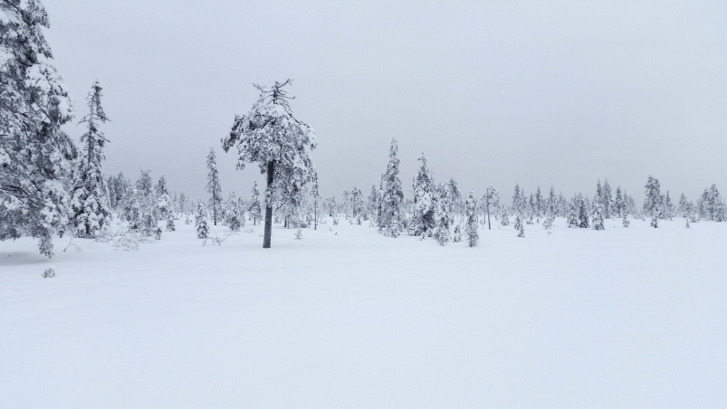 Koppången