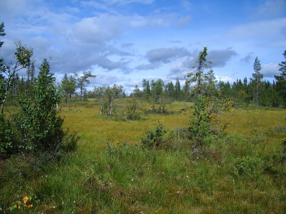 Koppången under sommaren