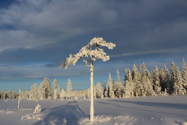 Koppången